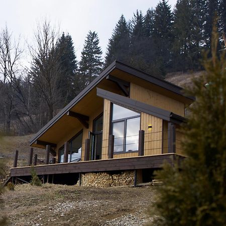 شقة Petrick House فيرخوفينا المظهر الخارجي الصورة